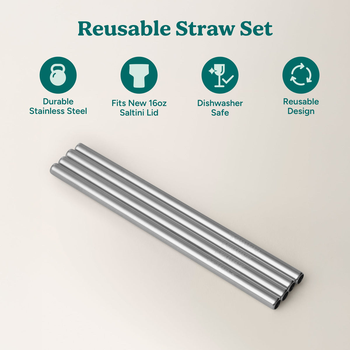saltini-straw-set-z2 4PK_SaltiniStraws_SS-2.jpg