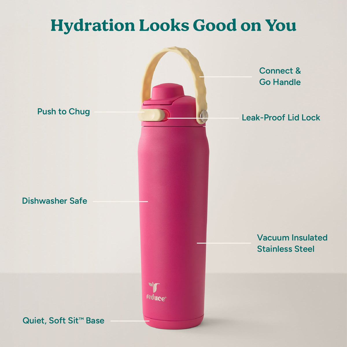 aura-26-oz-q6 Aura_26oz_DragonFruit_PDP_Infographic_2-03.jpg