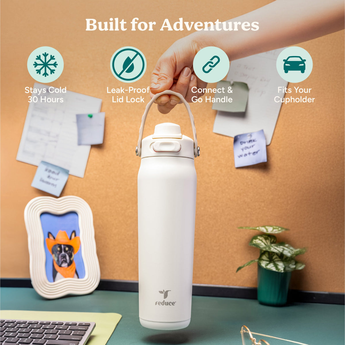 aura-26-oz-q6 Aura_26oz_Unbleached_PDP_Infographic_1.jpg