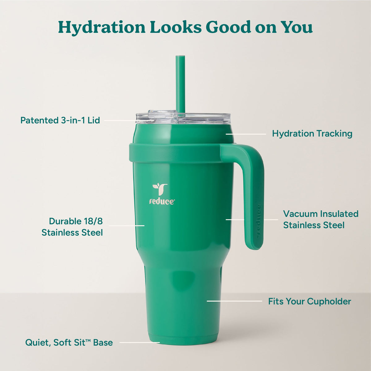 cold1-40-oz-g1 Cold1_40oz_PalmLeaf_Infographic_2.jpg