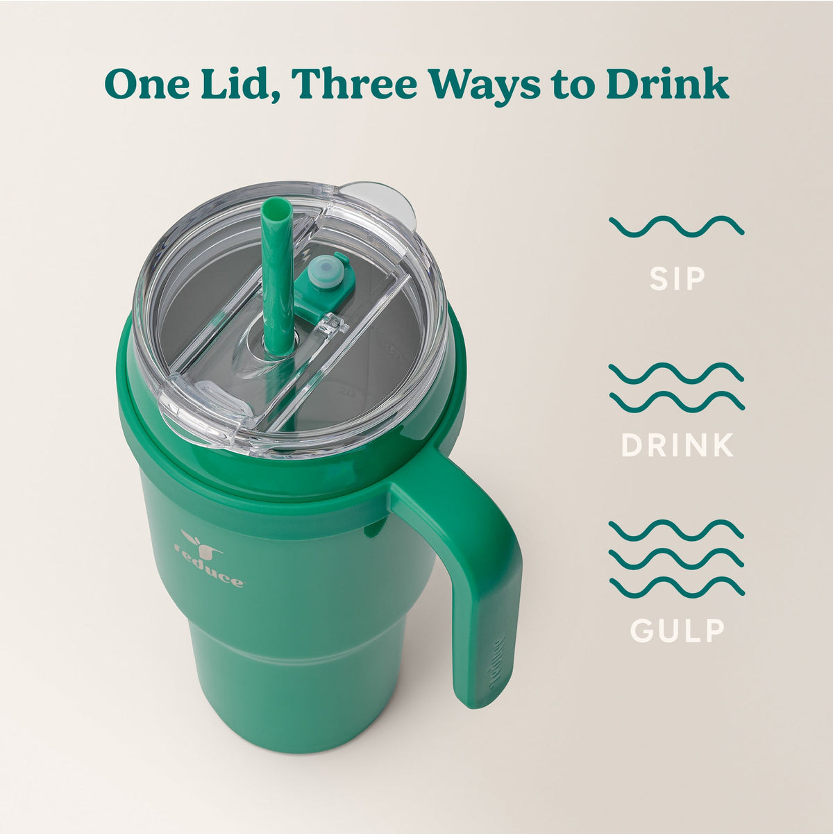 cold1-40-oz-g1 Cold1_40oz_PalmLeaf_Infographic_3.jpg