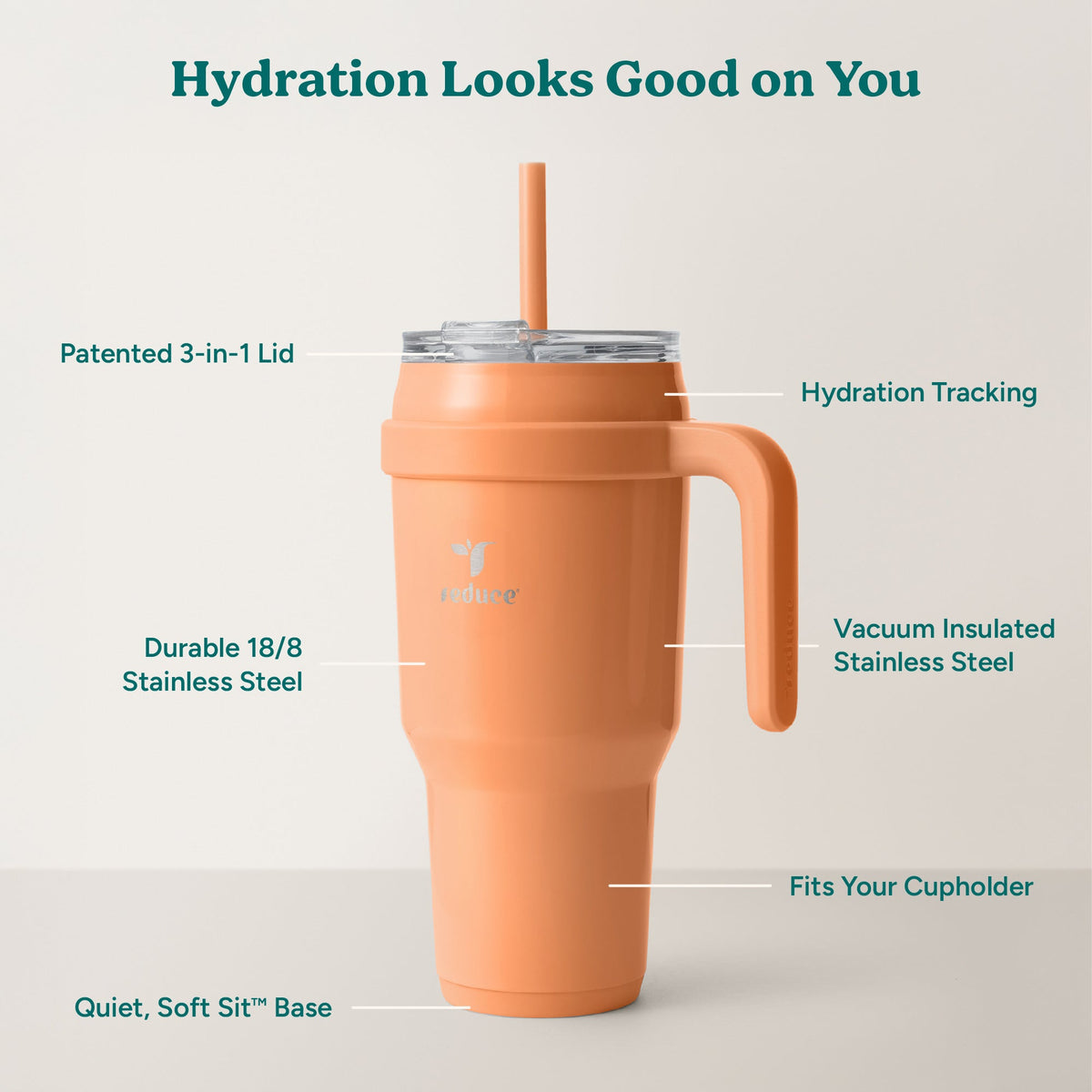 cold1-40-oz-g1 Cold1_40oz_Papaya_Infographic_2.jpg