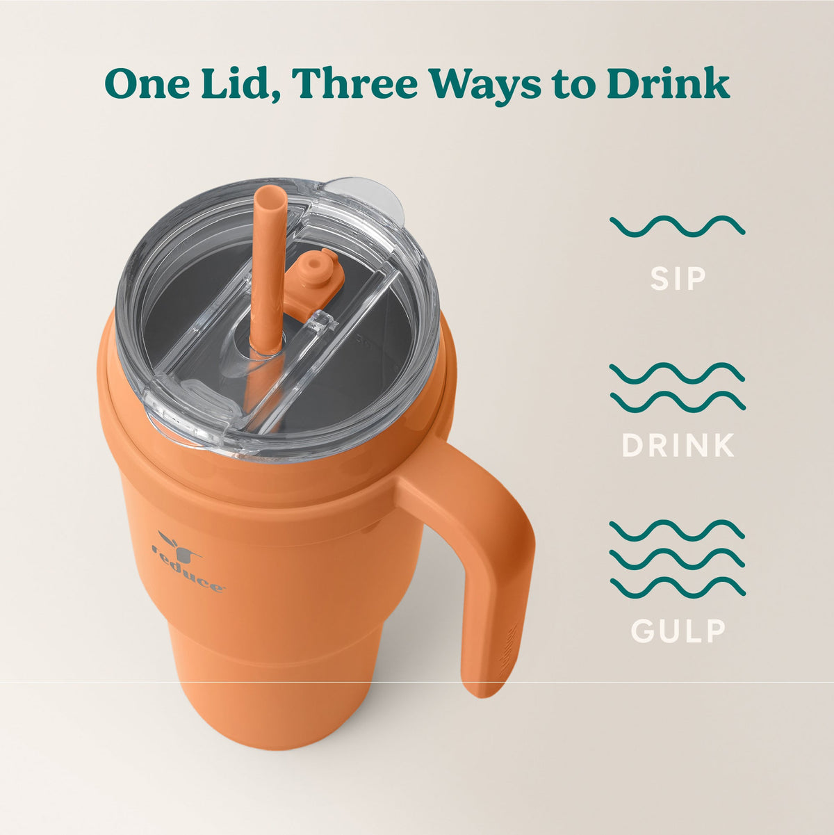 cold1-40-oz-g1 Cold1_40oz_Papaya_Infographic_3.jpg
